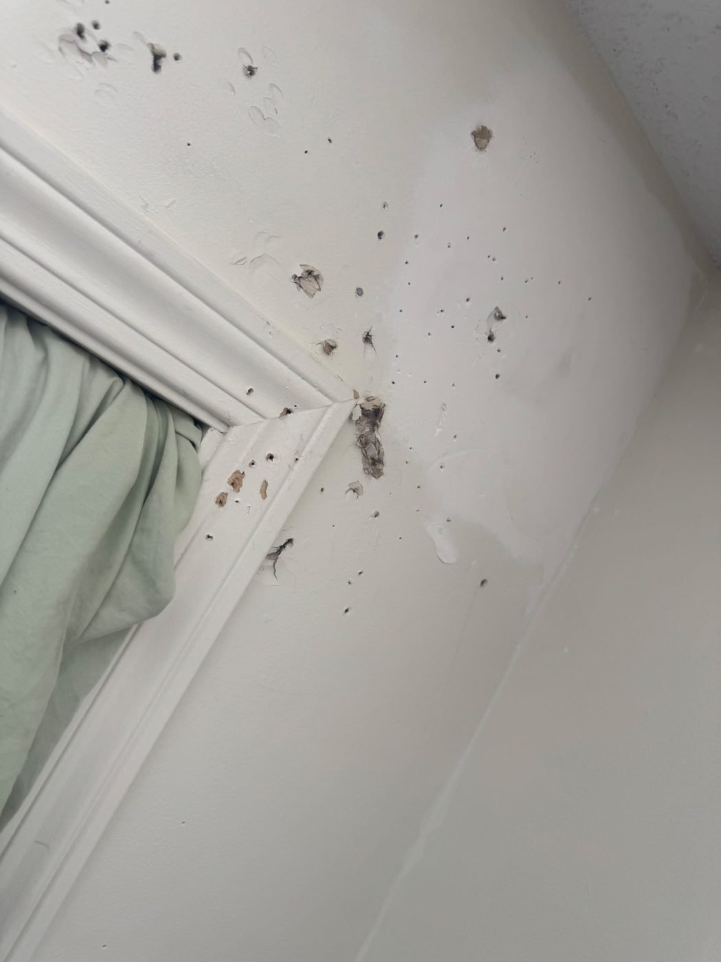 Wall beside a window with many old nail and screw holes